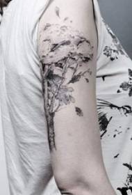 Der Arm des Mädchens auf schwarzem grauem Dornenbetriebsgroßem Baum-Tätowierungsbild
