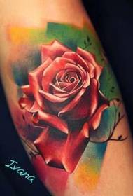 Tattoo 520 galerija: krāsains reālistisks rozetes tetovējuma modelis