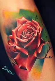 Tattoo DXX Gallery: Speculum Color realistica ROSETTE tattoo