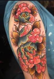 Sraith de phatrúin tattoo Floral traidisiúnta bláthanna bláthanna