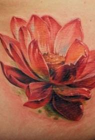 허리 색상 현실적인 붉은 연꽃 문신 사진