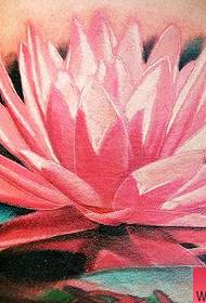 Lotus Tattoo Pattern: 3D colorato Lotus Tattoo Pattern