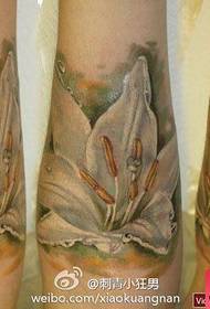 Krásné a krásné Evropské a americké barevné lilie tetování vzor