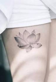 Lotus dövmesi, yüksek saflıkta, güçlü ve boyun eğmez