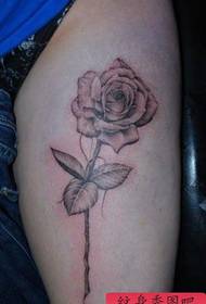 Braccio bellissimo e popolare schizzo tatuaggio rosa