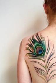 12 kasvien tatuointimateriaalia, kirjallinen kukkatatuointi, pieni tuorekasvien tatuointikuvio Daquan