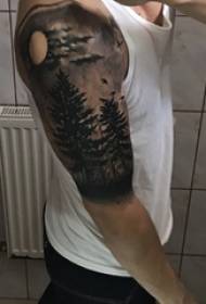 Poikavarsi mustalla piikillä kasvien iso puu metsä tatuointi kuvaa