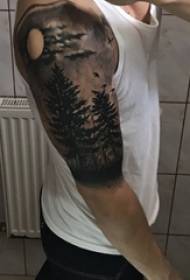 Boy arm on black thorn plant big tree forest tattoo picture