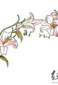 ວັດສະດຸ ໜັງ ສືໃບລານລາວສົດໆ
