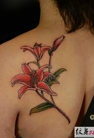 Tato lily segar dan murni