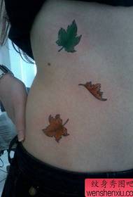 Bellissima pancia bellissima dall'aspetto colorato del tatuaggio della foglia d'acero
