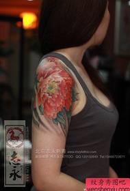 Padrão de tatuagem de peônia linda cor de braço bonito