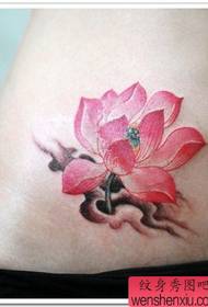Pola Tato Lotus: Abdomen Warna Lotus Tattoo Pola Gambar