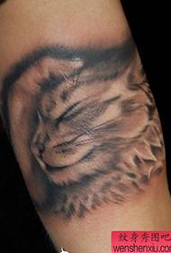 Recomandă un model de tatuaj pentru pisici tuturor