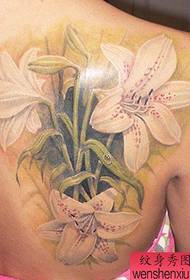baltas lilijas tetovējums skaistas sievietes aizmugurē