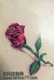 Back colour rose rose tattoo