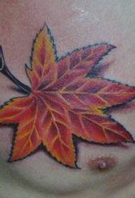 Maple Leaf Tattoo Pattern: Chest Coloured Maple Leaf Tattoo Pattern