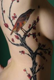 Side brinjë kumbulla e stilit kinez dhe tatuazh zogj model