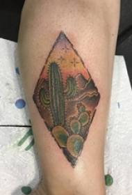 Boys calf painted geometric rhombus and plant cactus tattoo pictures