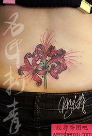 Skaisti un skaisti krāsainu ziedu tetovējumi uz skaistas sievietes vidukļa