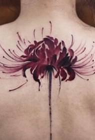 Pragtige stel Manzhushahuahua blomme tatoeëermerk ontwerpe