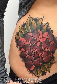 Modello di tatuaggio di crisantemo del ventre