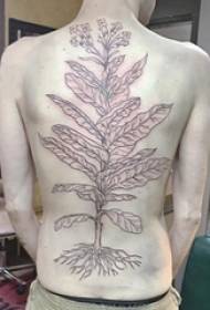 Scolasticu di ritornu nantu à e linee astratta neru pianta foglie è fiori stampa di tatuaggi