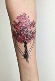 A variedade de tatuaxe de pétalo en flor de cereixa de pequeno patrón de tatuaxe de cor literaria fresca