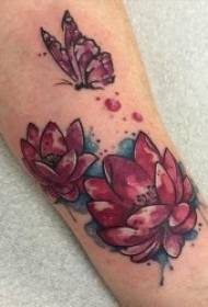 Tetování lotos, svatý lotos tetování vzor