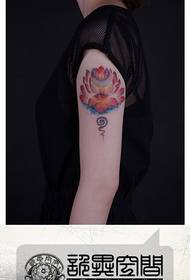 Djevojka na rukama lijep i lijep uzorak tetovaže lotosa u boji