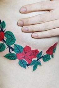 Modeli i bukur tatuazh i trëndafilit të bukur 141325 @ evropiane dhe amerikane të kopshtit të shpendëve kafkë bimore dorëshkrim model dorëshkrim