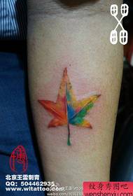 Ramię piękny kolorowy wzór tatuażu liści klonu