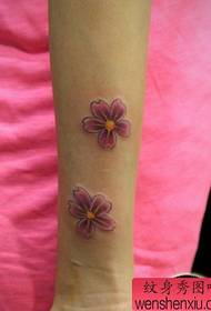 Ti fi a ti ak bèl Cherry blossom modèl tatoo