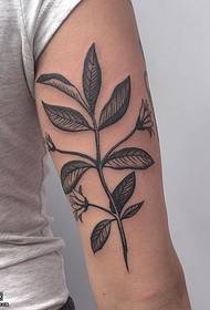 Klassiek schoudertatto plantpatroon