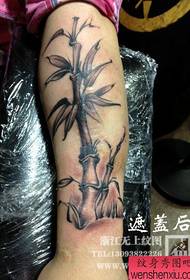 Наоружајте се популарним дивним црно-белим узорком тетоваже од бамбуса