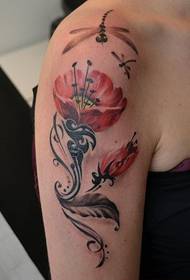 Nwatakịrị nwanyị nwere ụdị poppies tattoo tattoo