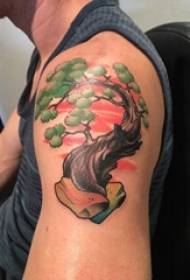 Dečkova roka naslikana na sliki rastlinskega materiala veliko drevesno tatoo sliko