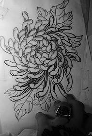 Ang namumulaklak na chrysanthemum tattoo script na pattern ng tattoo