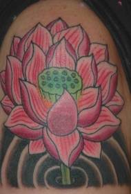 Pattern di tatuaggio di loto di acqua di culore rosa spalla