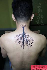 Populārs popmotema koku tetovējuma modelis aizmugurē