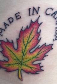 Ang mga braso ng lalaki ay pininturahan ng mga magagandang salitang Ingles at mga larawan ng halaman ng maple leaf tattoo