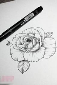 Prekrasan crni jednostavan linijski biljni materijal rukopis tetovaže ruža