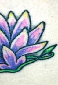 Ryggfarget lotus og kinesisk tatoveringsmønster