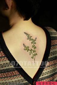 Modello di tatuaggio di bellezza moda erba posteriore