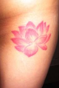 Ngjyra e butë e tatuazhit me zambak uji lotus foto
