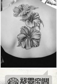 Beautiful and beautiful hibiscus tattoo pattern on the back of the beauty
