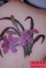 520 Tattoo Gallery: Bizkarreko Sorbalda Lily Tattoo Pattern irudia