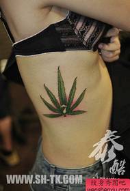 Modello di tatuaggio a foglia di marijuana squisito popolare vita laterale di bellezza