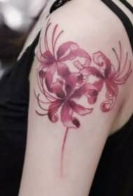 Beautiful set of mandala flower tattoo designs