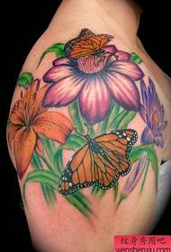 Tattoo 520 Galeria: Piktura e modelit të tatuazhit mbi shpatullat Lily